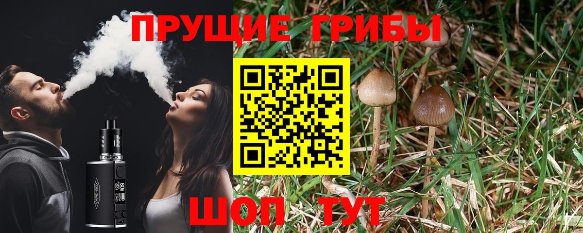 закладки  Псилоцибиновые грибы Psilocybe  Галлюциногенные грибы прущие грибы  Вход с VPN  Лыткарино 